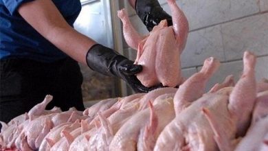 The Price of Poultry in Iran Rises Above 120,000 Rials