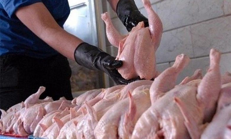 The Price of Poultry in Iran Rises Above 120,000 Rials