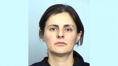 Woman Pleads Guilty to Smuggling U.S. Tech to Iran’s Regime