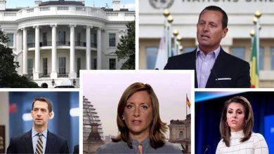 he international community is reacting to the anti-regime protests that have continued unabated in Iran