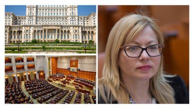 Romanian Lawmaker Decries Crackdown on Iran Protests