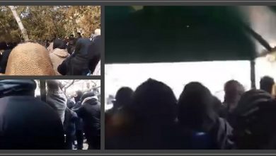 Iran Protests