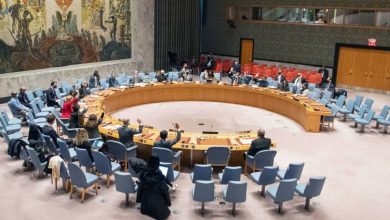 Albania Elected to the UNSC