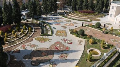 Iran – Resistance Units Broadcast Anti-regime Slogans in Shiraz