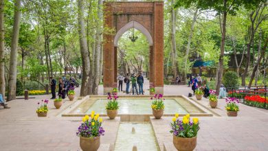 Iran: Resistance Units Activities in Tehran and Shiraz