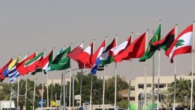 Twenty-one MPs from Arab and African Countries Voice Support for Iran’s Uprising