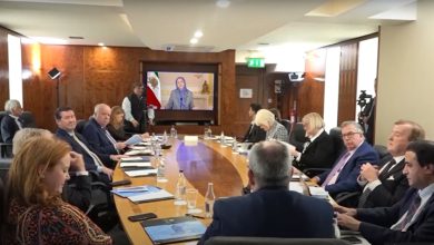 Irish Senators and TDs Express Support for Iran’s Uprising and Resistance