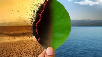 Unseen Victims: Iran’s Regime and the Deadly Impact on the Environment