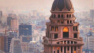 Exploring the Motives behind the Dismissal of Iran’s Central Insurance Chief