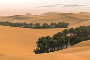 Deserts cover 907,293 km2 of Iran’s landscape. Sand dune fields are scattered across the arid