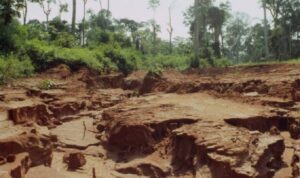 Rangelands Degradation in Iran: A Looming Environmental Crisis