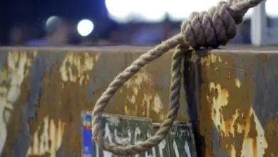 Iran: 8 Criminal Executions on Thursday and Saturday and 40 Executions in the Last 13 Days