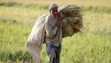 Understanding The Iranian Regime’s Push to Seize Agricultural Lands