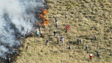 Iran News: Extensive Wildfires Ravage Forests Across Iran