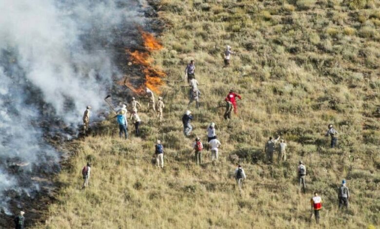 Iran News: Extensive Wildfires Ravage Forests Across Iran