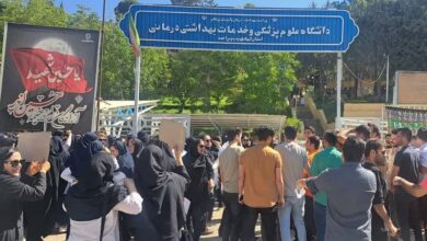 Protest Gatherings of Nurses in Various Provinces of Iran