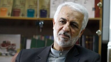 Iranian Regime Seeks to Sow Chaos in Syria as Survival Strategy, Former Diplomat Hints