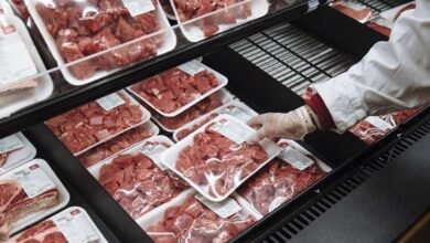 Iran News: Soaring Meat Prices and the Collapse of Iran’s Household Economy