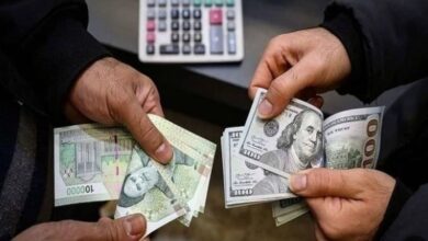 Iran’s Currency Crisis: The Legacy of Four Decades of Multi-Rate Policies