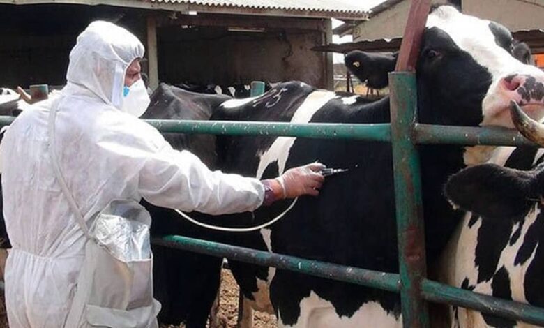 Iran Confronts Food Safety Crisis, Deepening Poverty, and Entrenched Corruption as Internal Pressures Converge