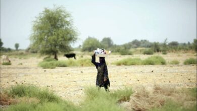 Water Refugees in Northern Iran Signal a Regime Entering a Structural Crisis