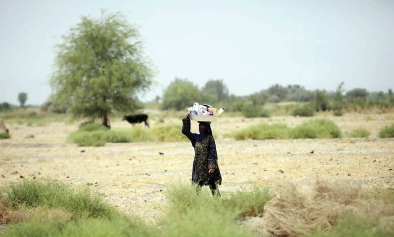 Water Refugees in Northern Iran Signal a Regime Entering a Structural Crisis