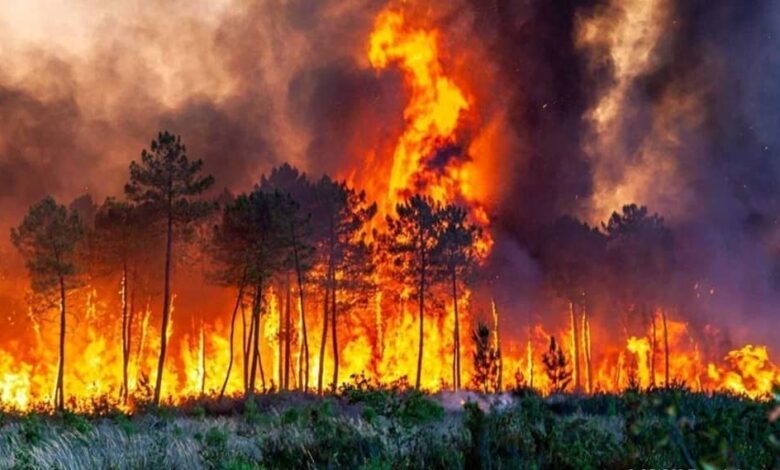 Iran’s Lungs on Fire: Wildfires, Toxic Air and the Politics Behind an Environmental Collapse