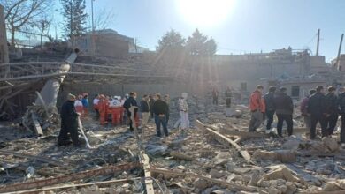 Reza Pahlavi: Foreign Pawn, Regime’s Useful Tool Exposed by Iran War